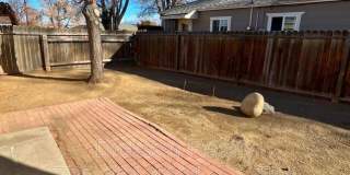 2390 Nelson Way Gallery 14