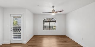 Calista Gallery 6