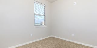 Polaris Peak Gallery 14