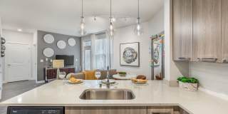 Mayfair Reserve Gallery 19