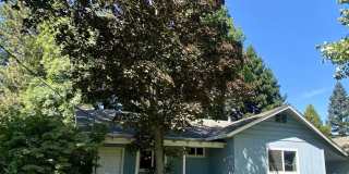 2 bedroom house with beautiful backyard! Gallery 1