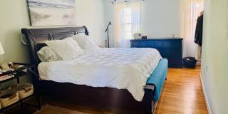 3810 LYNN REGIS CT Gallery 20