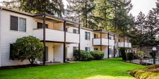Arbor Pointe Gallery 28