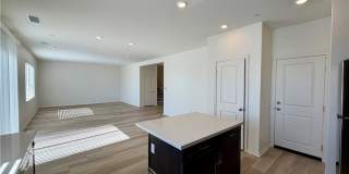 9643 Babaco Gallery 5