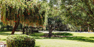 Heritage Key Villas Heritage Key Villas Gallery 22