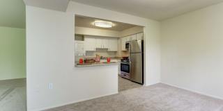 Mayfair House Apartments Gallery 5