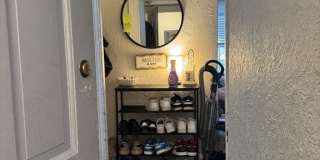 44 Melrose St Gallery 11