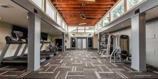 The Lucent Gallery 22