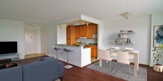 Dorchester Gallery 24