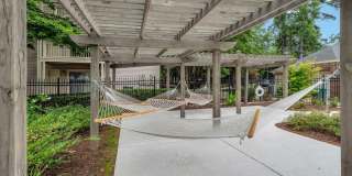 The Pines Gallery 30