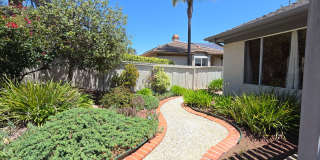 Scripps Ranch Beauty Gallery 27