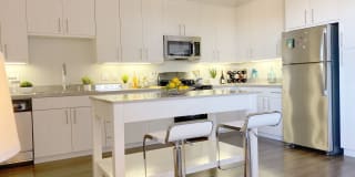 481 on Mathilda Gallery 22