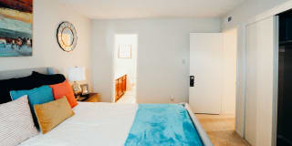 Tapestry on Vaughn Gallery 24