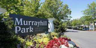 Murrayhill Park Gallery 1