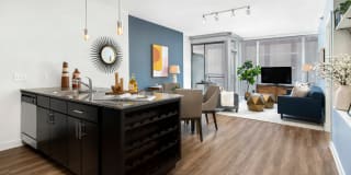 Env Chicago Gallery 33