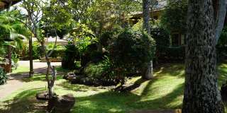 Coconut Inn Gallery 23