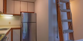 The Princess Gallery 23