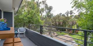 Hollywood Hills, tree lined street, perfect Mid-Century Modern homes Gallery 14