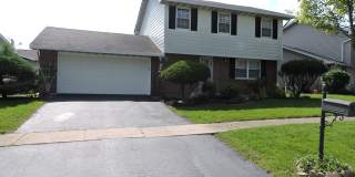 407 BEECHWOOD Drive Gallery 1