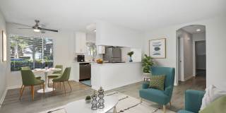 Vista Waterleaf Apartments Gallery 4