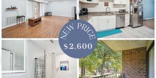 7804 DASSETT Court Gallery 1