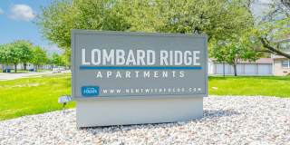 Lombard Ridge Gallery 45