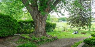 3bed 2bath Available For Rent in Easy Access Area! Gallery 4