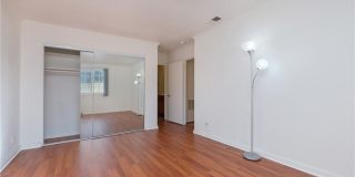 23551 Venisia Gallery 24