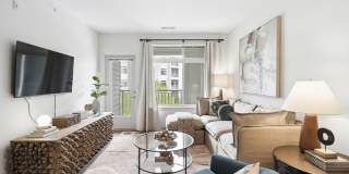 The Daley at Shady Grove Apartments Gallery 4