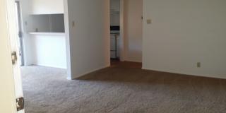 Forest Ridge Gallery 111