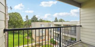 Royal Oaks Gallery 6