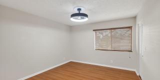 511 Shady Pine Way Gallery 22
