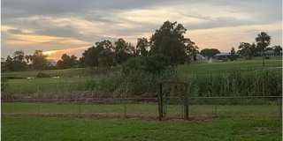 907 Eagle Lane Gallery 2
