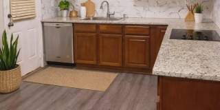 1744 DEBUTANTE Drive Gallery 3