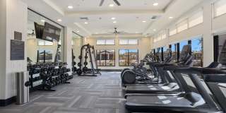 Prose Ascend Gallery 29