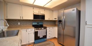 Bright Holladay 4 Bed Home – High Ceilings in Prime Location!! Gallery 8