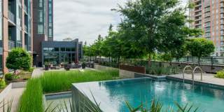 Aster Aster Gallery 7