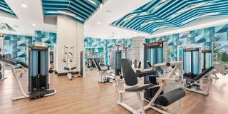 The Vivien Gallery 64