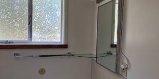 Country Environment in Town Gallery 14