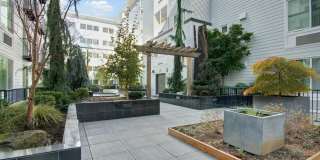 The Artiste Apartment Homes Gallery 17