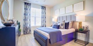 Sendero Trace Gallery 3
