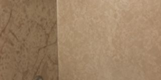 3 Bed 2 Bath Hillsboro Ranch Gallery 12