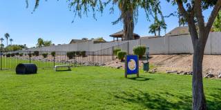 Cielo on Gilbert Gallery 32