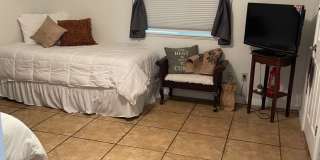 WINTER RENTAL 2026-2027 Gallery 46
