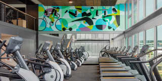 The Merian Gallery 8