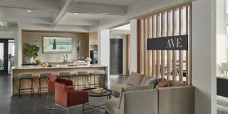 AVE Malvern Gallery 13