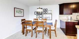 505 North Lake Shore Dr. Gallery 8