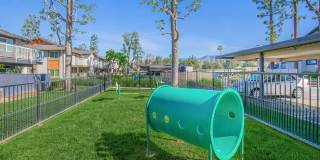 Aspire Redlands Gallery 7