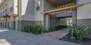 The Village at Town Center Gallery 22