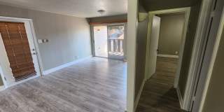1304 Summit St Unit 206 Gallery 5